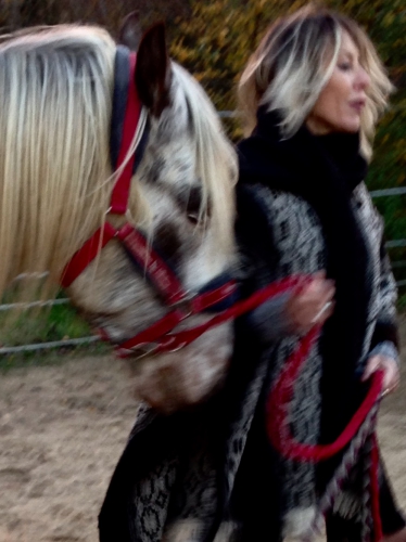 Photo, Valerie Bergmann, cheval, amour, nature, drome , vie