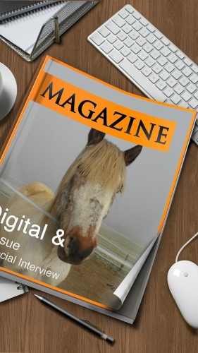 photo, gemini, cheval, couverture, magazine