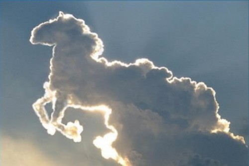 nuages, cheval, ciel, deuil, amour, vie, mort